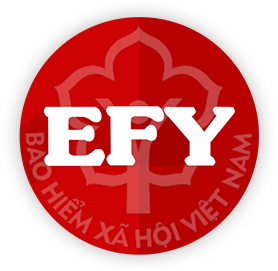 efybhxh logo